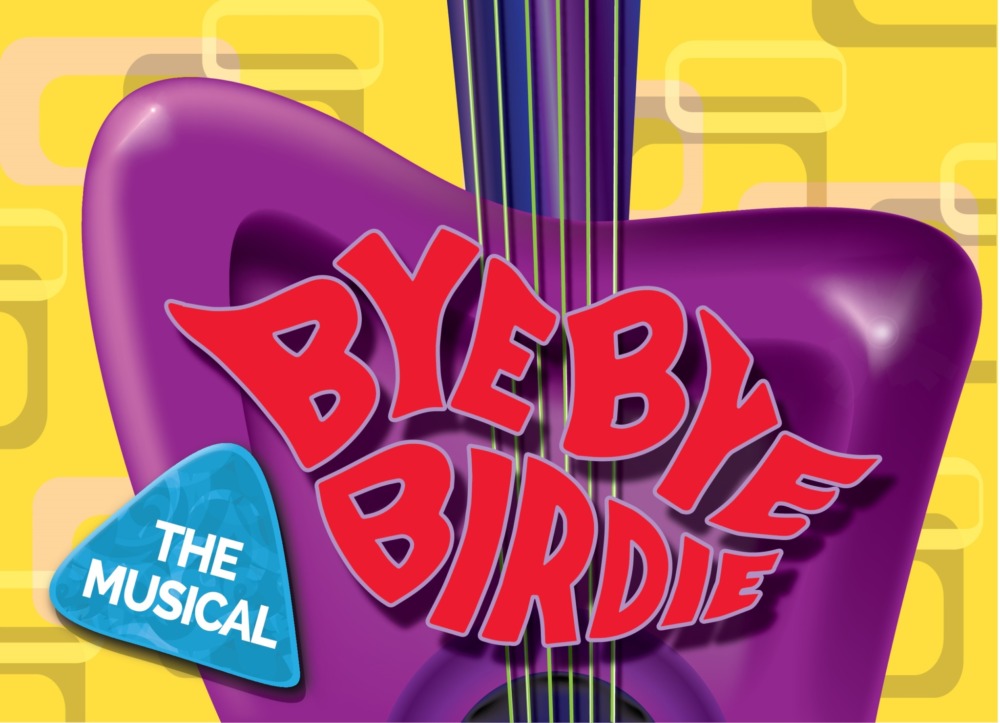 Bye Bye Birdie