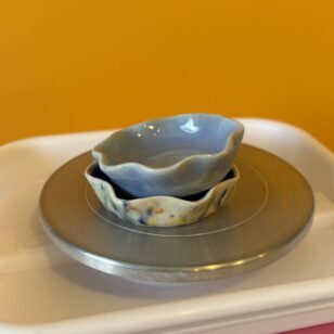 pie_closeup_march2026